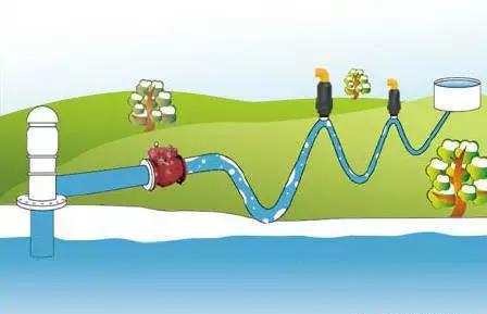 1740385619815.jpg 201906201136282347.jpg